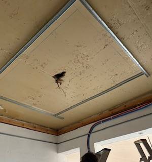 thumbnail_IMG_6890